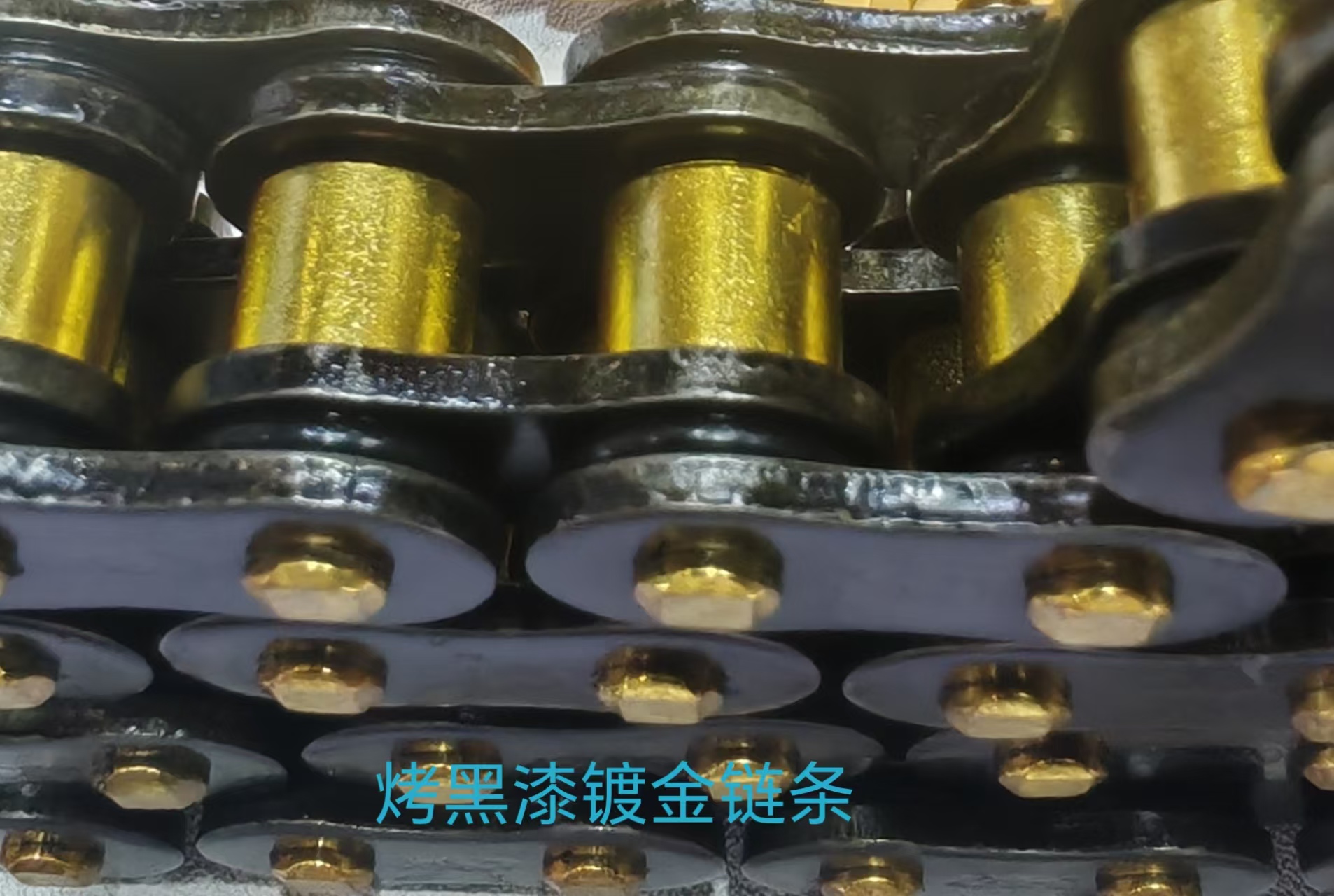 Oil Sealing Chain