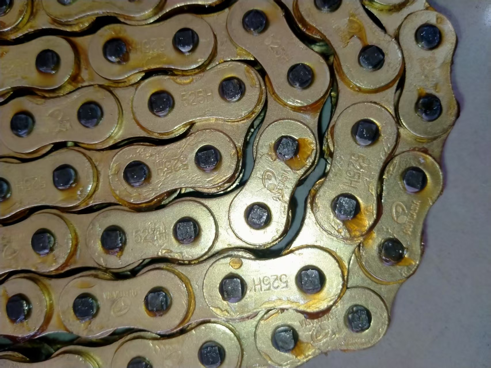 Oil Sealing Chain